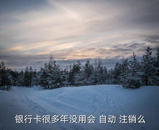  銀行卡很多年沒用會 自動 注銷么
