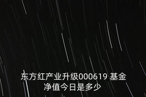  東方紅產(chǎn)業(yè)升級(jí)000619 基金凈值今日是多少