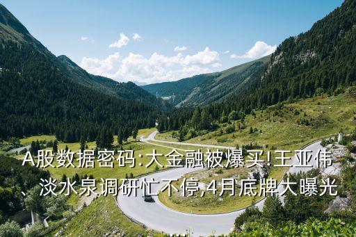 A股數(shù)據(jù)密碼:大金融被爆買!王亞偉、淡水泉調(diào)研忙不停,4月底牌大曝光...