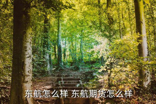  東航怎么樣 東航期貨怎么樣