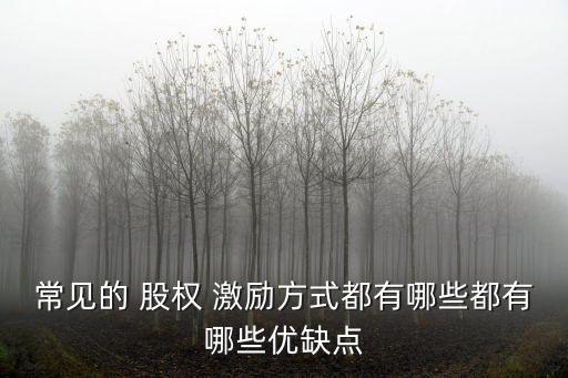 常見的 股權(quán) 激勵(lì)方式都有哪些都有哪些優(yōu)缺點(diǎn)