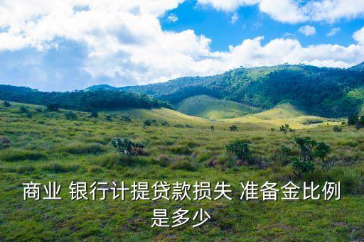 銀行一般風險準備金,銀行 風險準備金