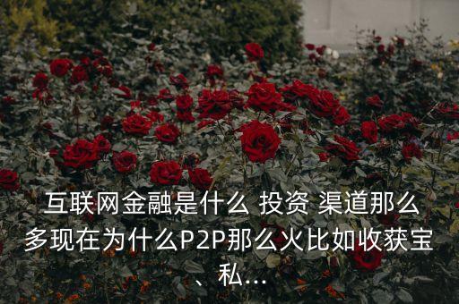  互聯(lián)網(wǎng)金融是什么 投資 渠道那么多現(xiàn)在為什么P2P那么火比如收獲寶、私...