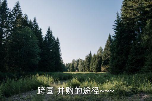跨國(guó) 并購(gòu)的途徑~~~