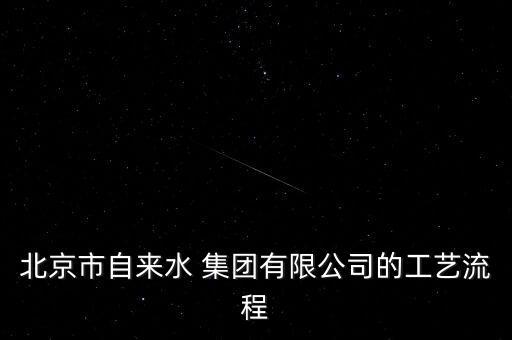 北京市自來水 集團有限公司的工藝流程