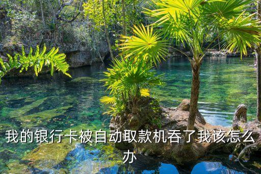 招商銀行存款被吞