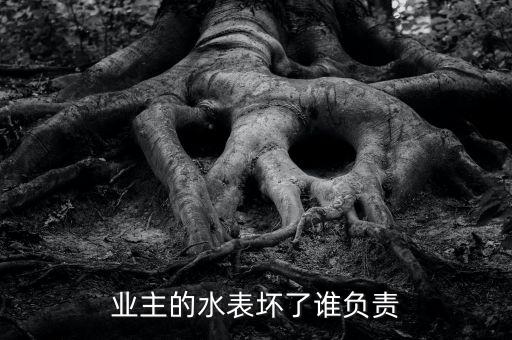 業(yè)主的水表壞了誰負責(zé)