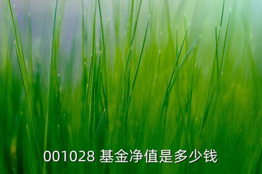 001028 基金凈值是多少錢