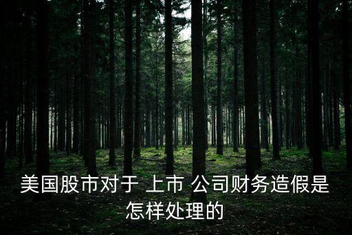 美國股市對于 上市 公司財務(wù)造假是怎樣處理的