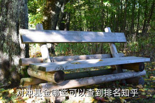 對(duì)沖基金哪些可以查到排名知乎