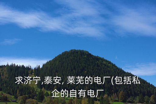 山東華能萊蕪熱電有限公司招聘,華能萊蕪發(fā)電有限公司領導班子