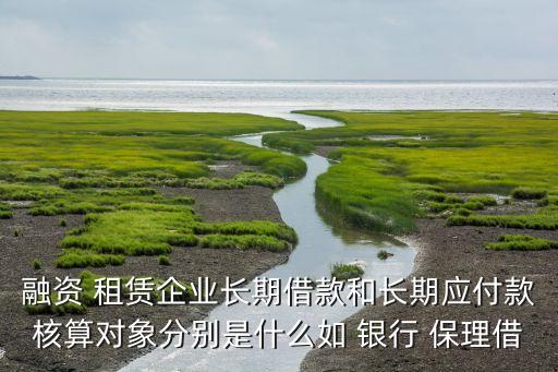 融資 租賃企業(yè)長期借款和長期應付款核算對象分別是什么如 銀行 保理借