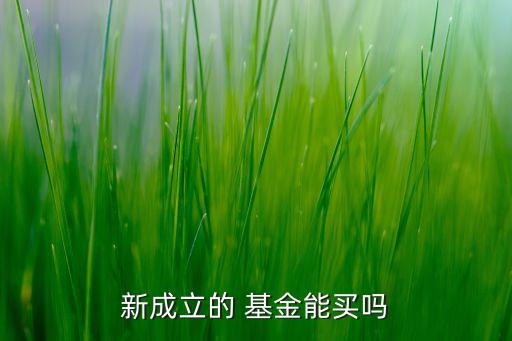 新成立的 基金能買嗎