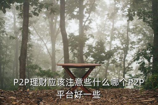 P2P理財應該注意些什么哪個P2P平臺好一些
