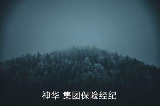民太安集團