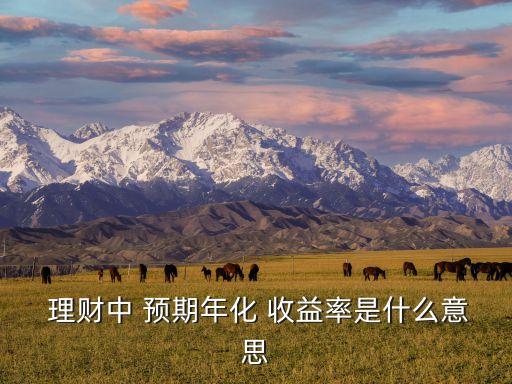  理財中 預(yù)期年化 收益率是什么意思