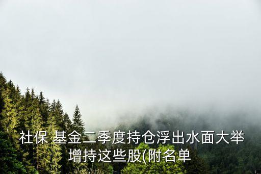  社保 基金二季度持倉(cāng)浮出水面大舉增持這些股(附名單