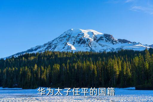 華為公司總經(jīng)理