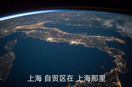  上海 自貿區(qū)在 上海那里