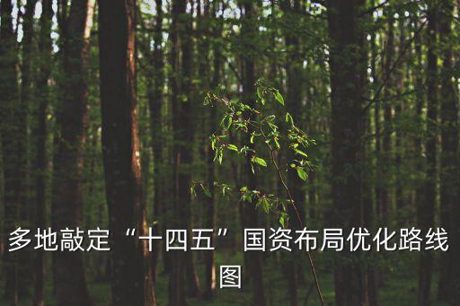 多地敲定“十四五”國資布局優(yōu)化路線圖