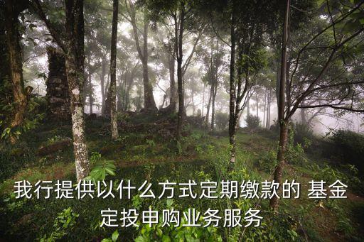 我行提供以什么方式定期繳款的 基金定投申購(gòu)業(yè)務(wù)服務(wù)