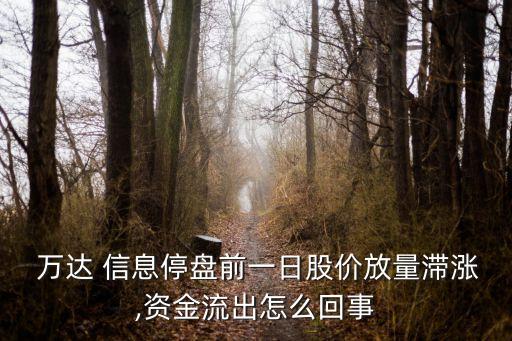  萬達(dá) 信息停盤前一日股價放量滯漲,資金流出怎么回事