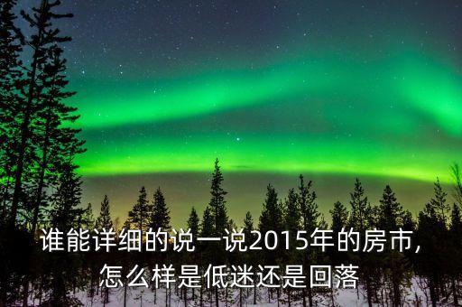 誰能詳細的說一說2015年的房市,怎么樣是低迷還是回落