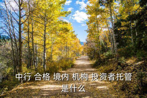中行 合格 境內(nèi) 機(jī)構(gòu) 投資者托管是什么