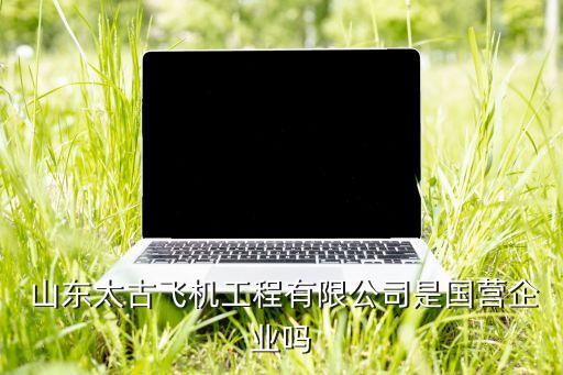  山東太古飛機工程有限公司是國營企業(yè)嗎