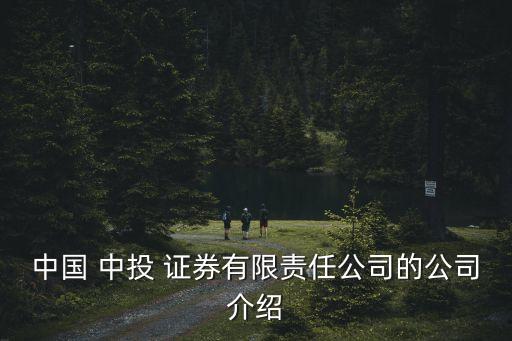 中國 中投 證券有限責(zé)任公司的公司介紹