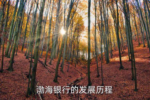 渤海銀行的發(fā)展歷程
