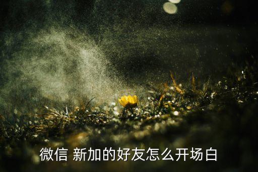 微信 新加的好友怎么開場(chǎng)白