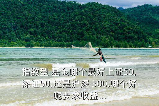  指數(shù)型 基金哪個最好上證50, 深證50,還是滬深 300,哪個好呢要求收益...