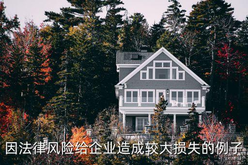 因法律風險給企業(yè)造成較大損失的例子