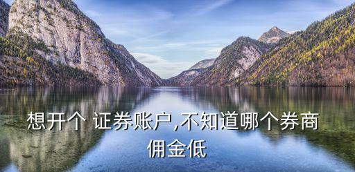 想開個(gè) 證券賬戶,不知道哪個(gè)券商 傭金低