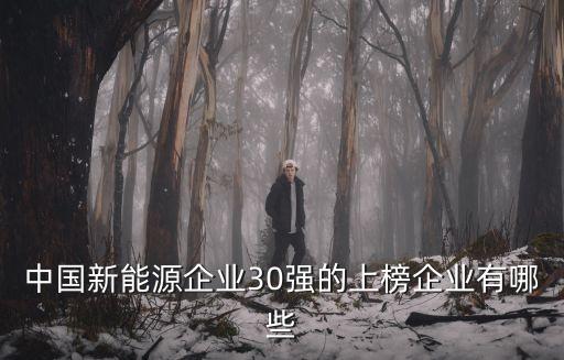 中國(guó)新能源企業(yè)30強(qiáng)的上榜企業(yè)有哪些