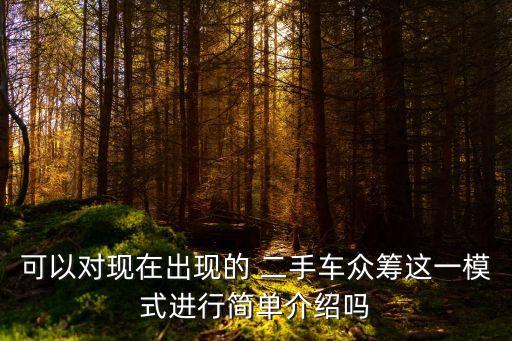 可以對(duì)現(xiàn)在出現(xiàn)的 二手車(chē)眾籌這一模式進(jìn)行簡(jiǎn)單介紹嗎