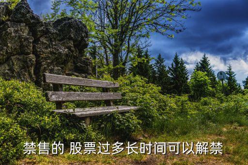 禁售的 股票過多長時間可以解禁