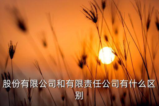 股份有限公司和有限責任公司有什么區(qū)別
