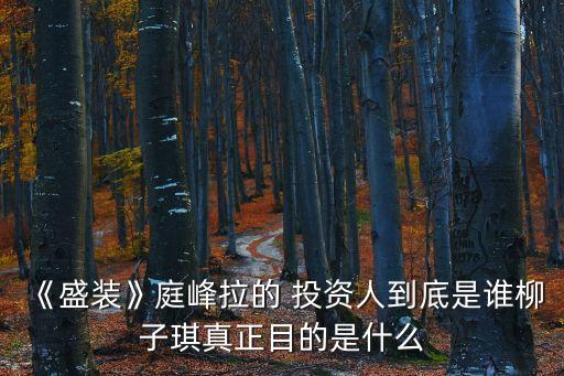 一峰投資,一兆瓦投資多少錢(qián)