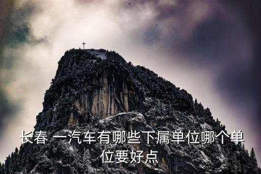 長春一汽實業(yè)富裕改裝車有限公司