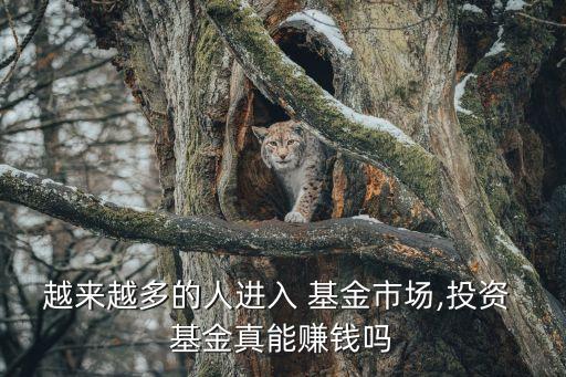 代銷基金的利潤(rùn),a商業(yè)銀行代銷b基金