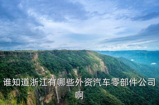 誰知道浙江有哪些外資汽車零部件公司啊