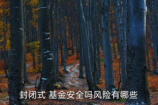封閉式 基金安全嗎風(fēng)險有哪些