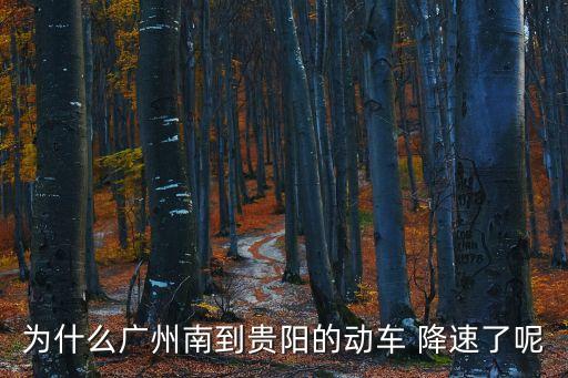 為什么廣州南到貴陽的動車 降速了呢