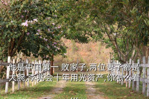 他是中國第一 敗家子,兩位妻子都是大腕,李兆會十年用光資產,你怎么看...
