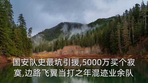國安隊(duì)史最坑引援,5000萬買個(gè)寂寞,邊路飛翼當(dāng)打之年混跡業(yè)余隊(duì)