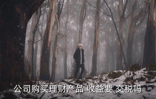 公司購(gòu)買理財(cái)產(chǎn)品 收益要 交稅嗎
