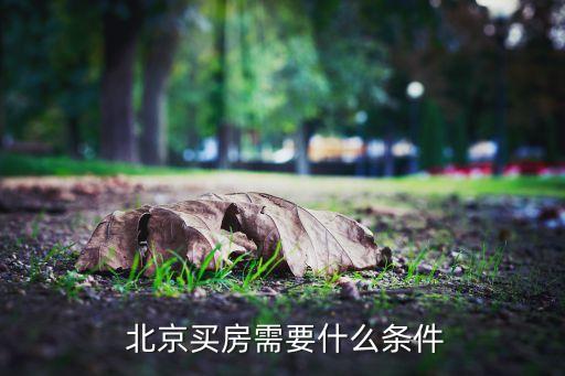  北京買房需要什么條件