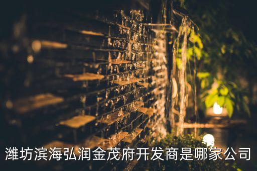 濰坊濱海弘潤(rùn)金茂府開發(fā)商是哪家公司